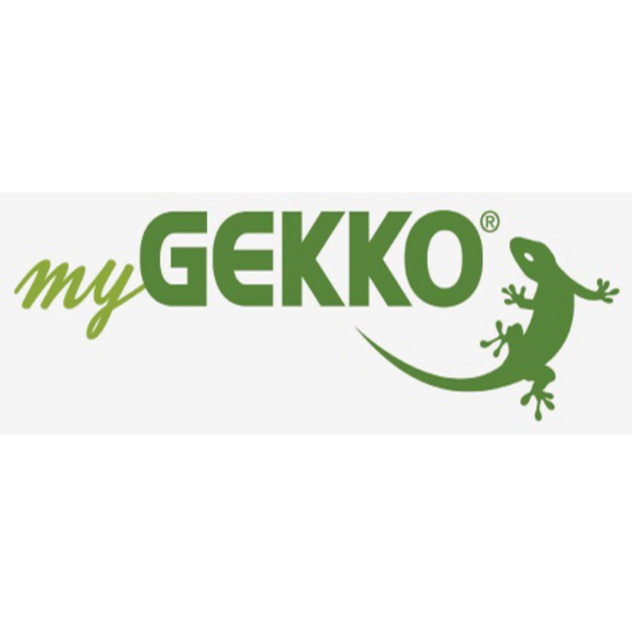 mygekko logo bei Steiner Thomas in Langerringen
