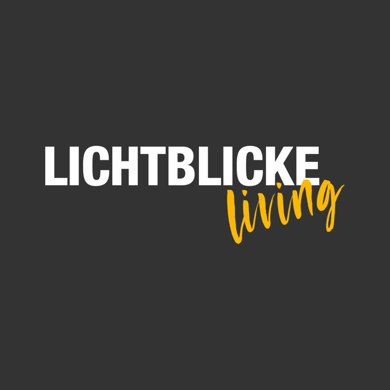 Lichtblicke Katalog bei Steiner Thomas in Schwabmünchen